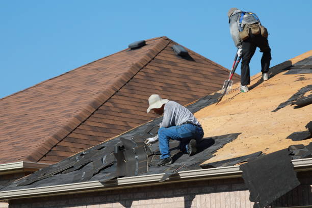 Professional  Roofing repair and installation in Walden, TN