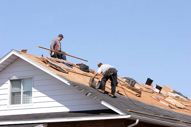 Best Roof Coating Services  in Walden, TN