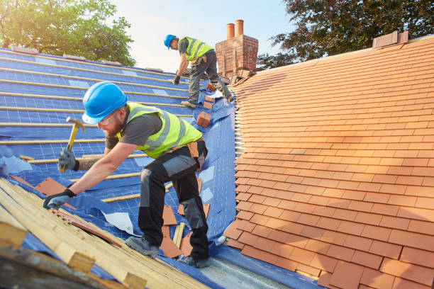 Best Roof Coating and Sealing  in Walden, TN
